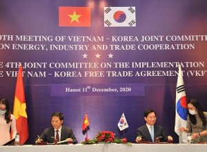 Việt Nam - Hàn Quốc: Thúc đẩy hợp tác thương mại, công nghiệp và năng lượng trong bối cảnh đại dịch COVID-19