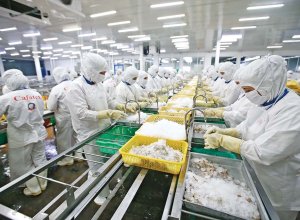Bức Tranh Xuất Khẩu Đang Sáng Dần