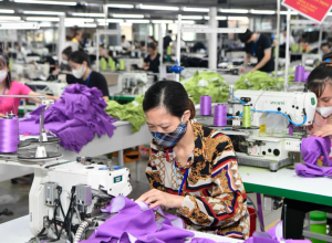 Đơn Hàng Phục Hồi, Dệt May Mở Rộng Tìm Kiếm Thị Trường