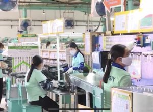 Doanh Nghiệp Hàn Quốc Dẫn Đầu Về Đầu Tư Vào Tỉnh Đồng Nai