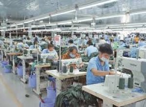 Doanh Nghiệp Dệt May Cần Chủ Động Thích Ứng Với Biến Động Thị Trường
