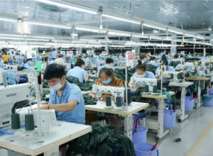 Điểm Danh Những Nhóm Sản Phẩm Xuất Khẩu Chịu Tác Động Của Thoả Thuận Xanh Châu Âu