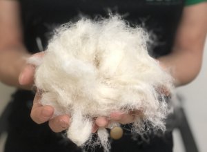 Lần Đầu Tiên Việt Nam Sản Xuất Thành Công Tơ, Sợi, Vải Sinh Thái Từ Một Loại Phế Phẩm Nông Sản