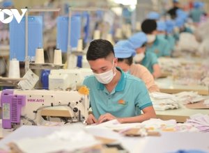 Đơn Hàng Tăng, Doanh Nghiệp Dệt May Đầu Tư Chiều Sâu
