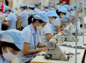 Tín Hiệu Phục Hồi Của Doanh Nghiệp Dệt May