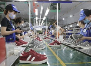 Cần Phải Có Trung Tâm Phát Triển Nguyên Phụ Liệu Dệt May, Da Giày