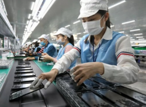 Xuất Nhập Khẩu Năm 2024 Chính Thức Đạt 786,29 Tỷ USD