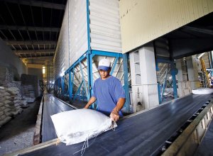 Xuất Khẩu Sang Thị Trường Mỹ Tăng Tốc