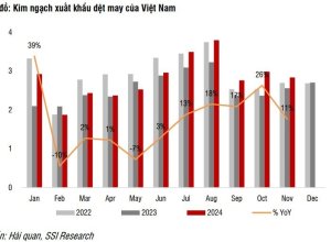 Triển Vọng Nào Cho Ngành Dệt May Năm 2025?
