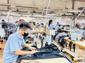 Xuất Khẩu Khởi Sắc, Doanh Nghiệp Chuyển Mình