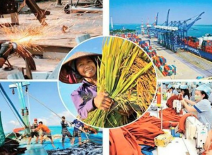 Kinh Tế Việt Nam Với Nhiều Điểm Sáng Trong Năm 2024