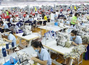 Ngành Dệt May Quý 3/2024: Phục Hồi Mạnh Mẽ Nhờ Mùa Cao Điểm