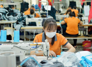 Doanh Nghiệp Dệt May Dần Lấy Lại Đà Tăng Trưởng