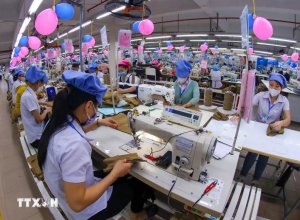 Khai Thác Hiệu Quả Tiềm Năng Của Ngành Dệt May Việt Nam