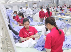 Phát Triển Ngành Dệt May, Da Giày An Giang