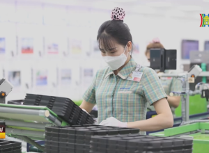 Xuất Khẩu Hàng Hoá Sang Hàn Quốc Đang Phục Hồi
