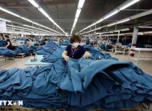 Doanh Nghiệp Linh Hoạt, Ứng Biến Với Tình Hình Mới Để Đẩy Mạnh Xuất Khẩu