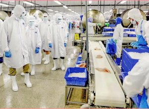 Xuất Khẩu Nửa Cuối Năm 2024: Dệt May, Thủy Sản Dự Báo Tăng Trưởng Tốt