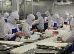 Sự Thật Hàng ‘Make In Vietnam’ Xuất Châu Âu Đắt Giá Gấp Đôi Khi Chuyển Đổi Xanh