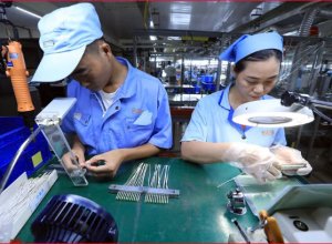 Doanh Nghiệp Thích Ứng Các Tiêu Chuẩn Cao Để Xuất Khẩu Thành Công Vào EU