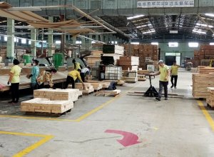 Bình Dương: Xuất Khẩu Hàng Hóa 4 Tháng Đầu Năm 2024 Đạt Gần 11 Tỷ USD