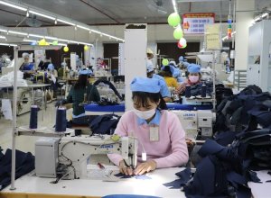Một Công Ty Dệt May Sắp Trả Cổ Tức Bằng Tiền Tỷ Lệ 50%