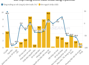Xuất Khẩu Sang Myanmar Giảm Sâu 47% Trong Quý Đầu Năm 2024